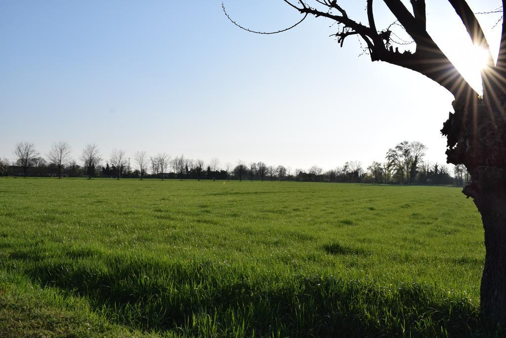 Agriturismo Cà Del Lupo Pallazzolo sull'Oglio Exterior foto